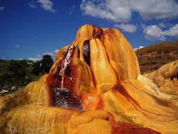 images (8)